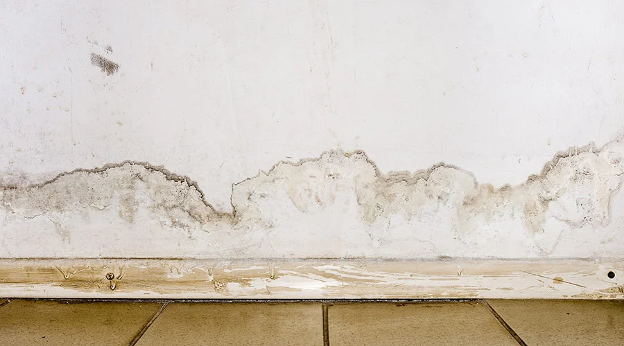 8 Unmistakable Signs Of Basement Water Damage